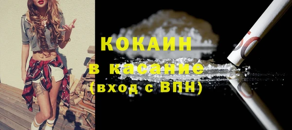 сатива Вязьма
