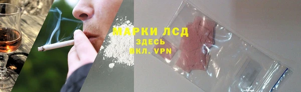 сатива Вязьма