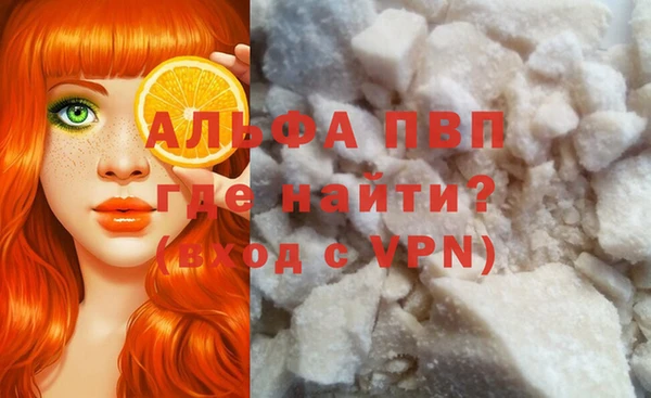 сатива Вязьма