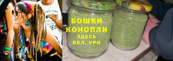 сатива Вязьма