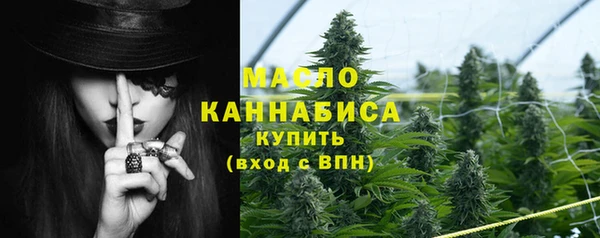 сатива Вязьма